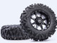 Kawasaki Mule / Teryx Bighorn Radial 6 Ply Tire - 12 | 14 | 15 Inch by Maxxis
